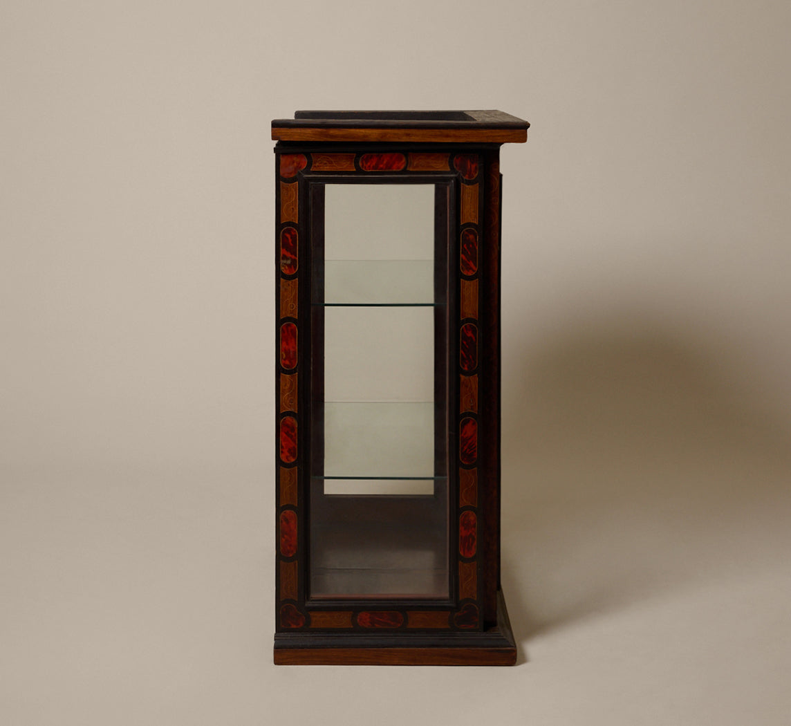 19TH CENTURY INLAID EBONY & ROSEWOOD VITRINE WITH PAINTED CHERUBS