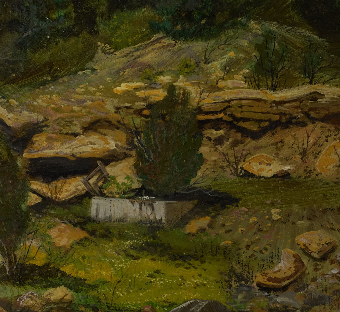 1970S AMERICAN LANDSCAPE