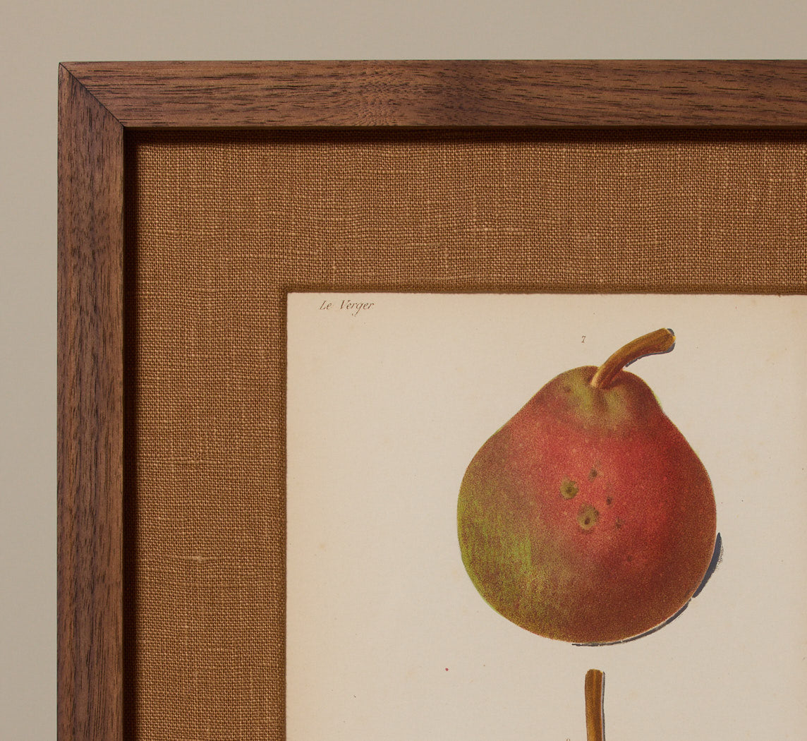 ANTIQUE PEAR DUO BOTANICAL PRINT