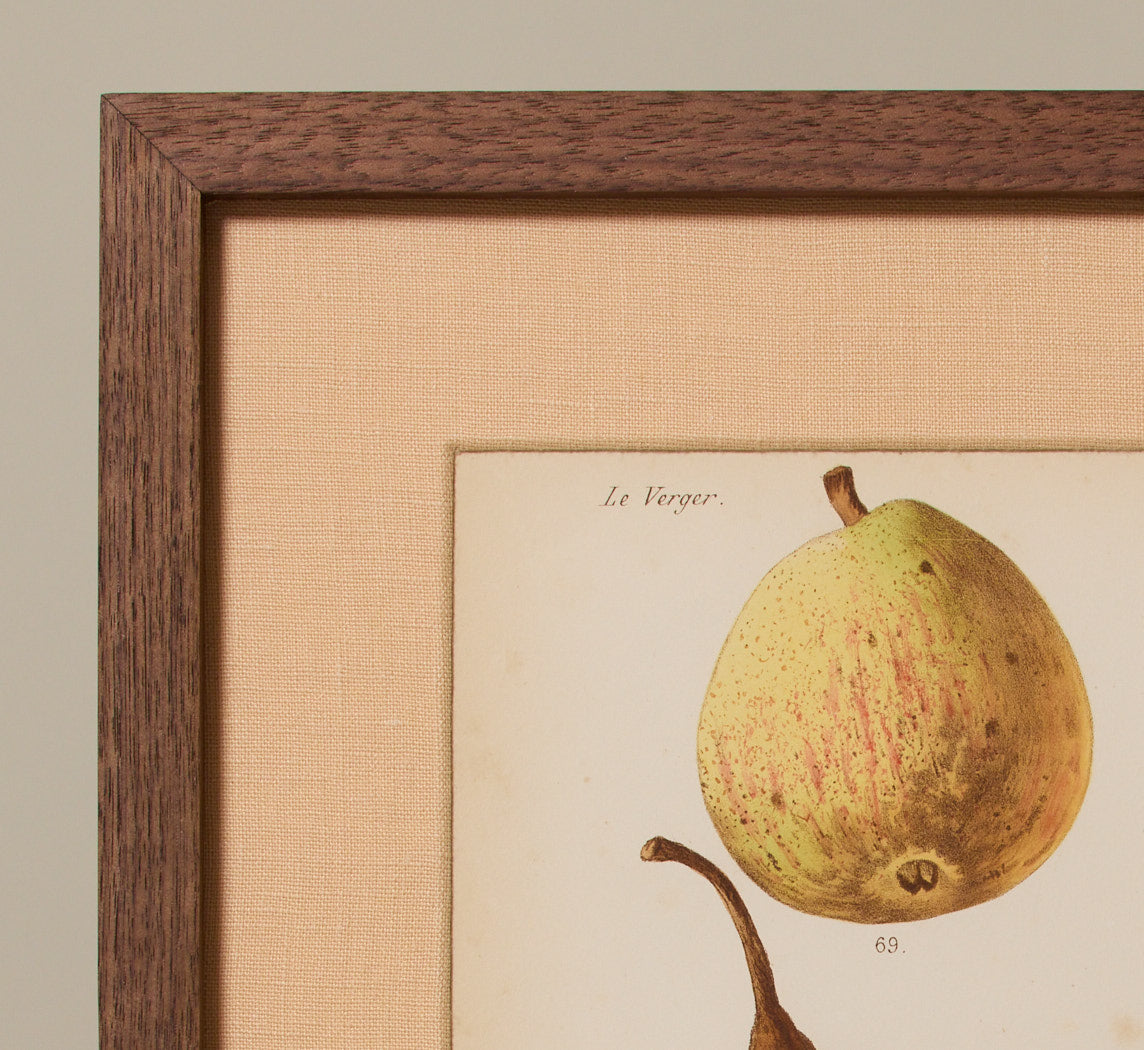 ANTIQUE PEAR VARIETAL BOTANICAL PRINT