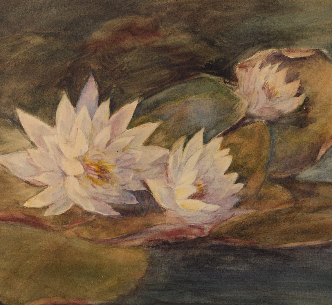 FRENCH IMPRESSIONIST WATER LILY