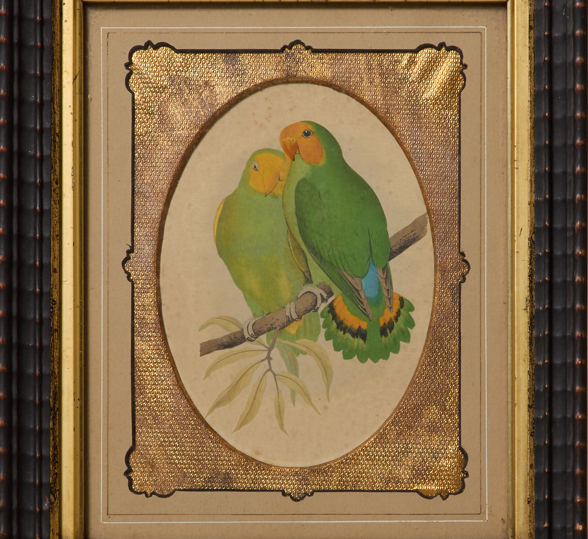 1880s WOODBLOCK ENGRAVING OF LOVEBIRDS