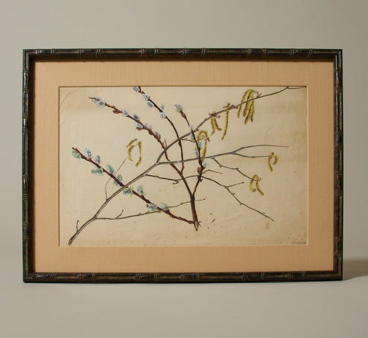 1920 HERBARIUM PLANT STUDY II