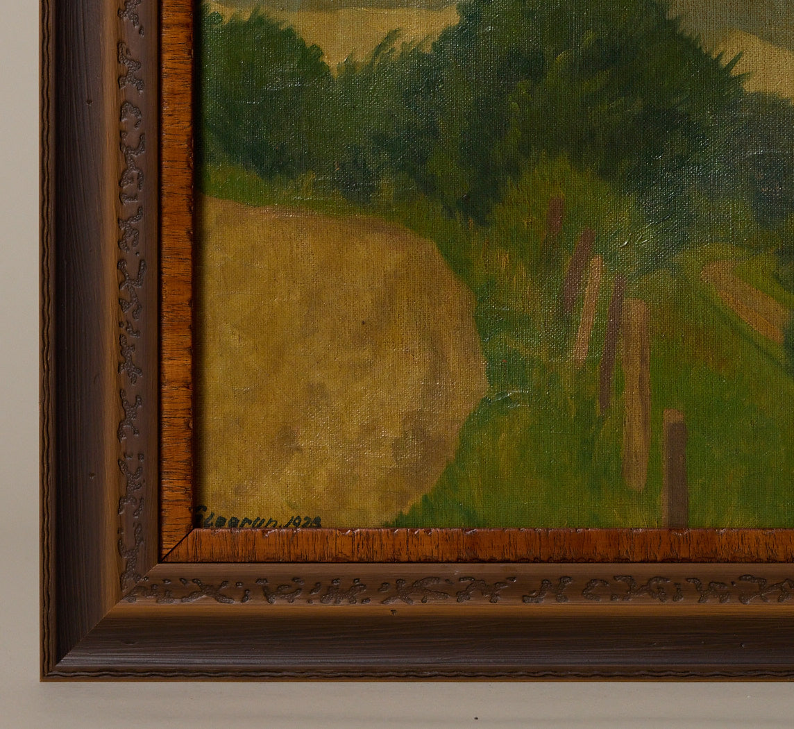 DANISH FARMLAND CIRCA 1928