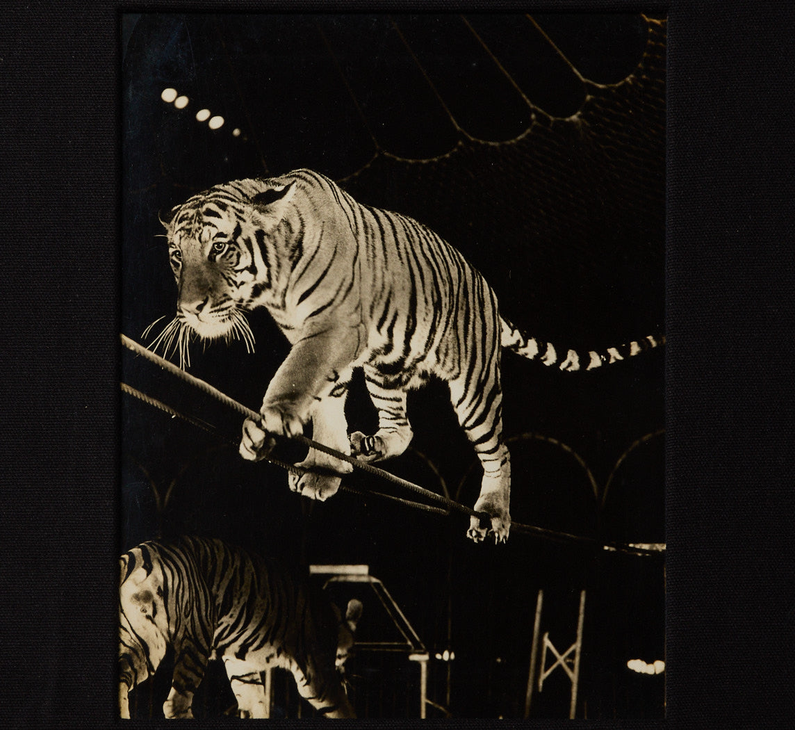 VINTAGE CIRCUS PHOTOGRAPH BY H.A. ATWELL (1879-1957) III