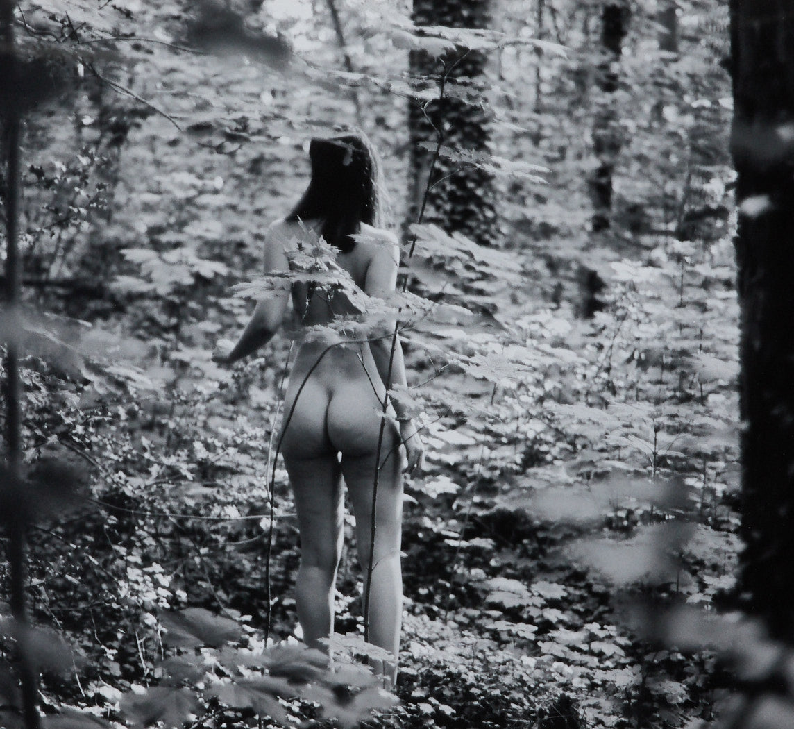 FEMALE NUDE IN THE FOREST II