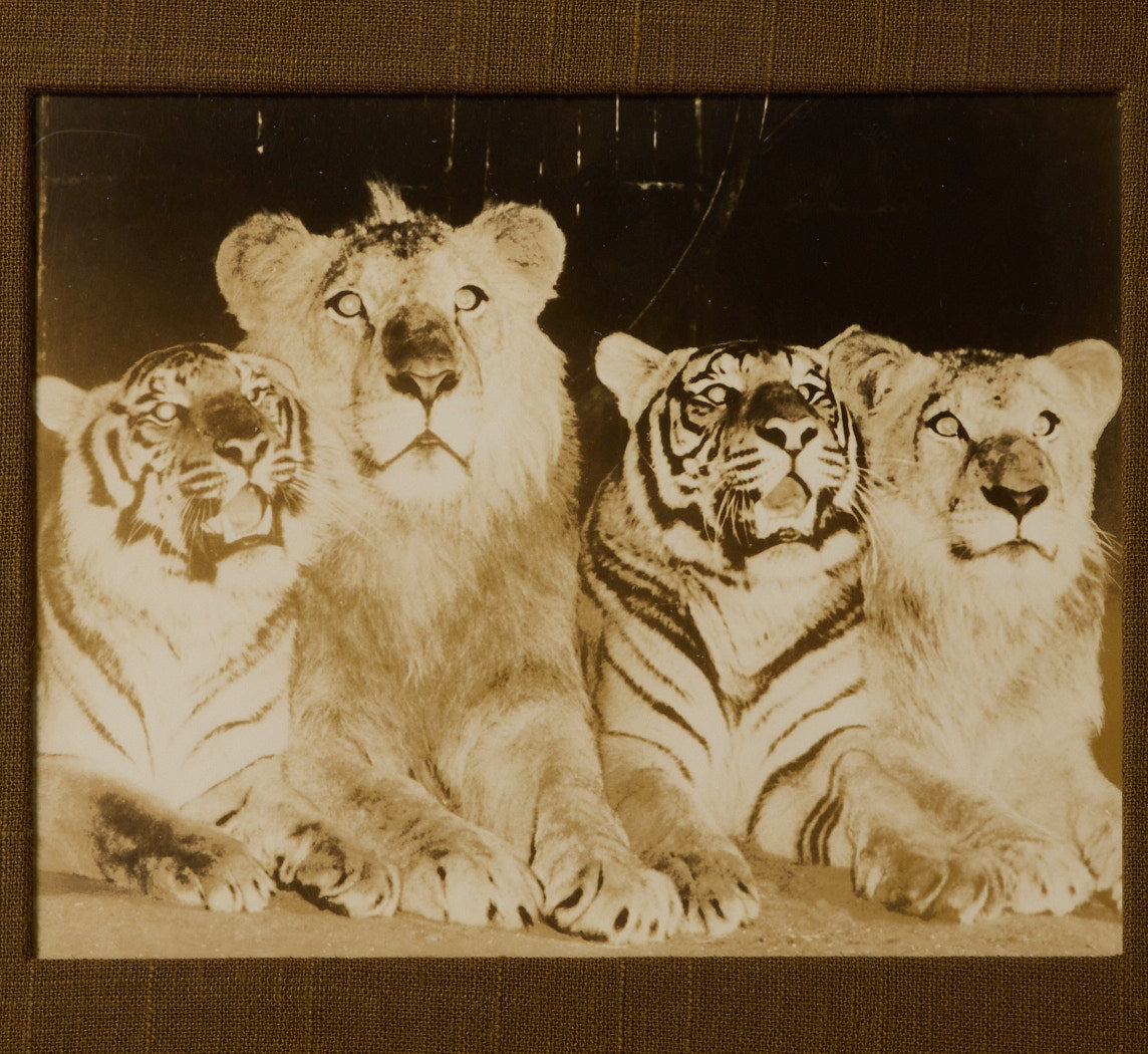 VINTAGE CIRCUS PHOTOGRAPHS BY H.A ATWELL (1879-1957) II