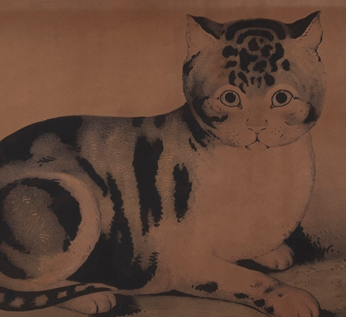 19TH CENTURY STONE LITHOGRAPH OF CAT