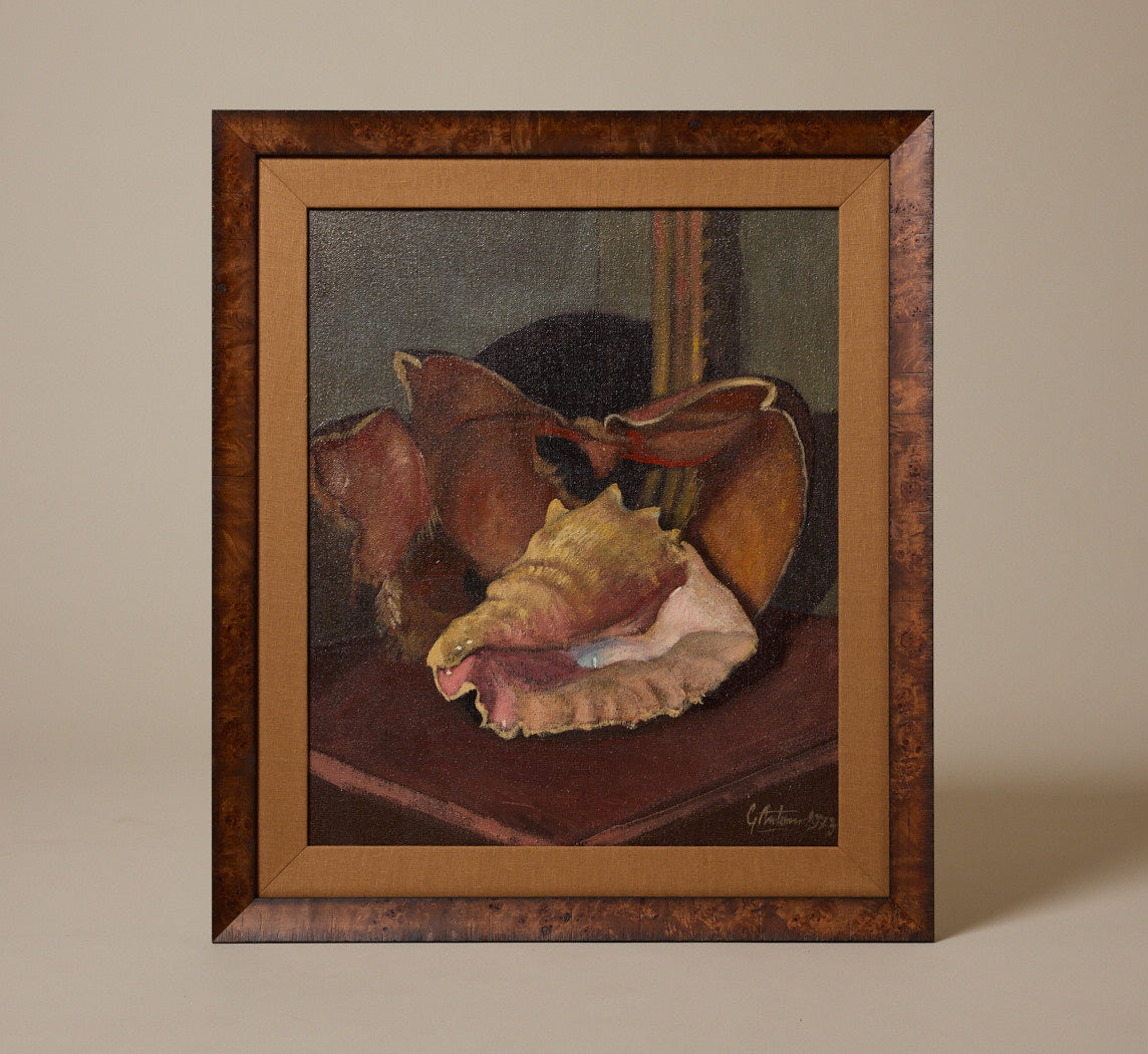 VINTAGE CONCH SHELL STILL LIFE