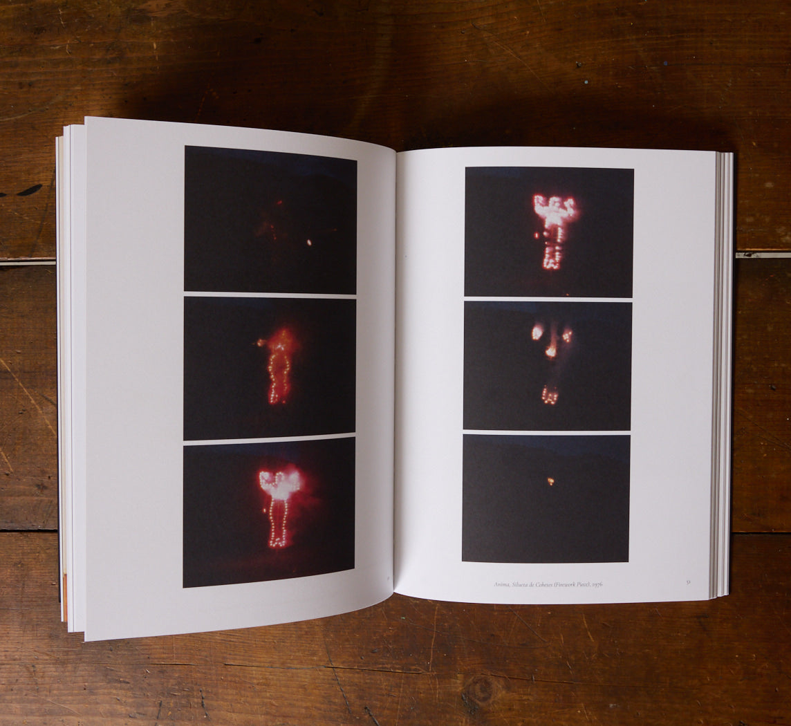 ANA MENDIETA: BACK TO THE SOURCE BOOK