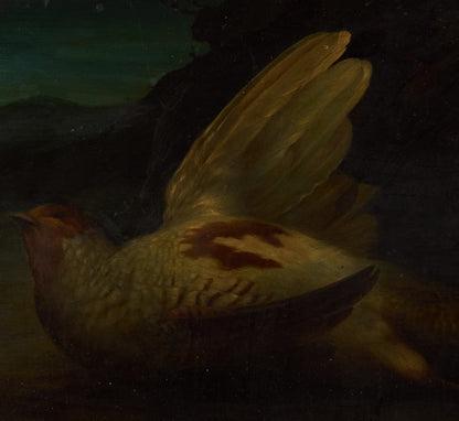 18TH CENTURY STILL LIFE OF A WOUNDED PARTRIDGE
