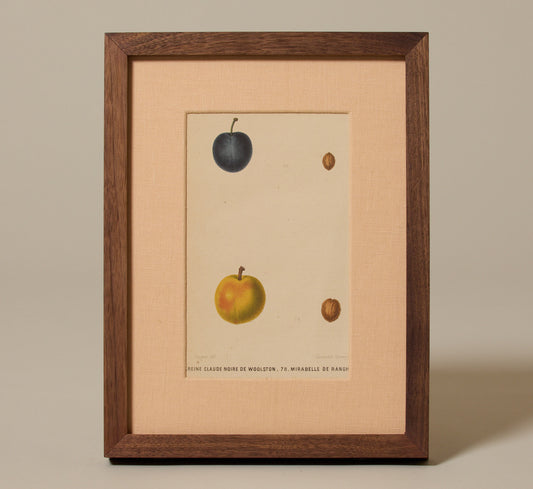 ANTIQUE PLUM BOTANICAL PRINT