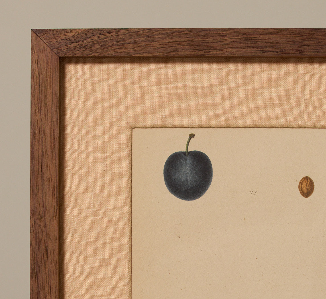 ANTIQUE PLUM BOTANICAL PRINT