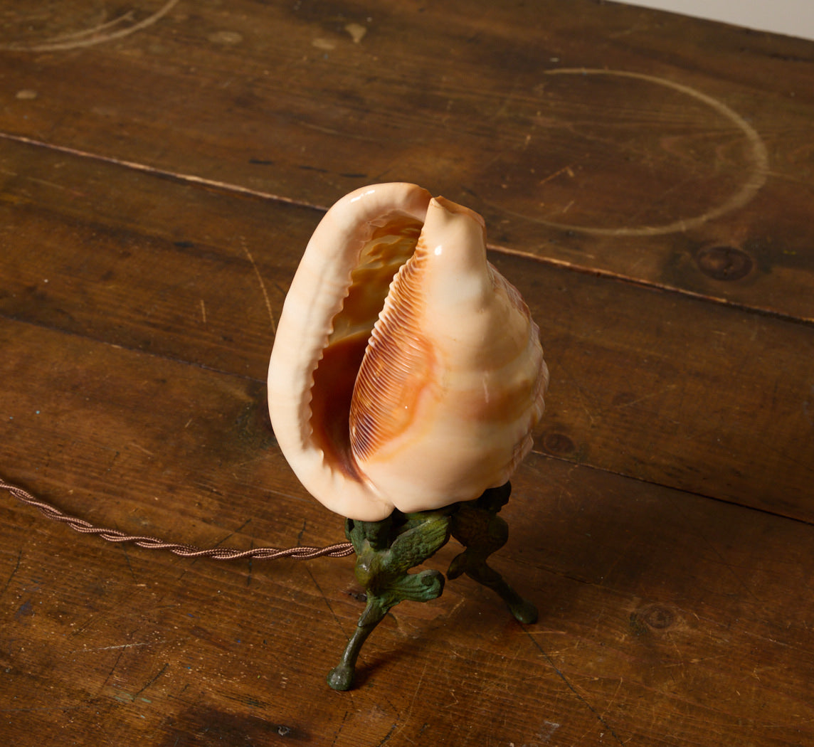 ITALIAN CARVED CHERUB CAMEO CONCH SHELL LAMP, C. 1910