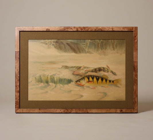 1900S YELLOW PERCH FISH CHROMOLITHOGRAPH