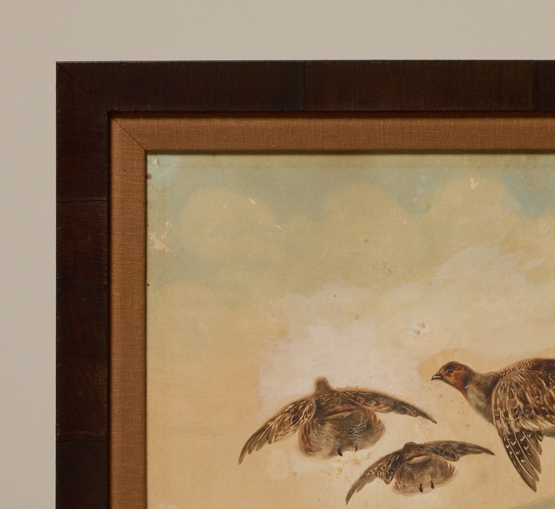 1930S ITALIAN NATURALIST "PARTRIDGES IN FLIGHT"