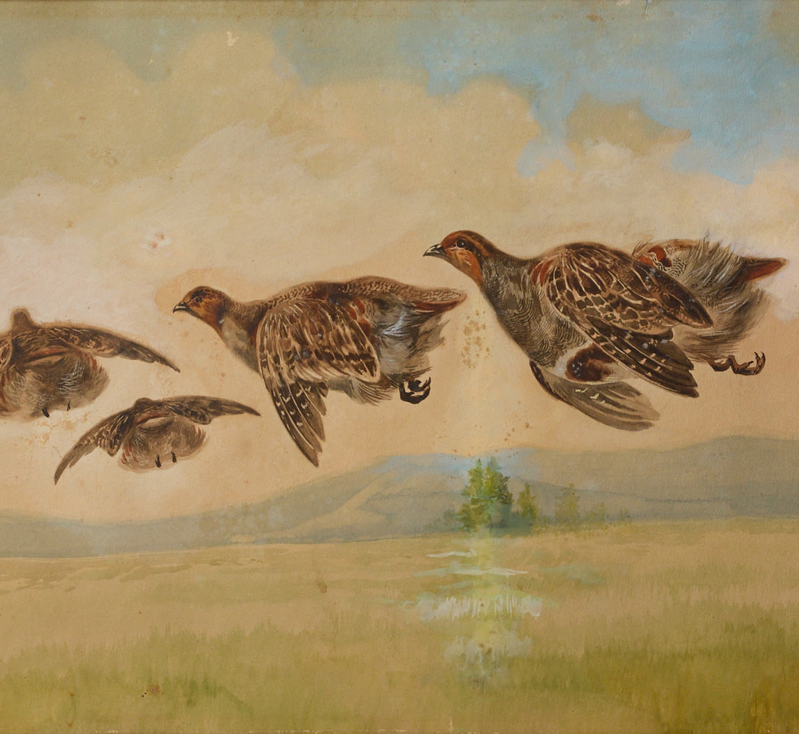 1930S ITALIAN NATURALIST "PARTRIDGES IN FLIGHT"