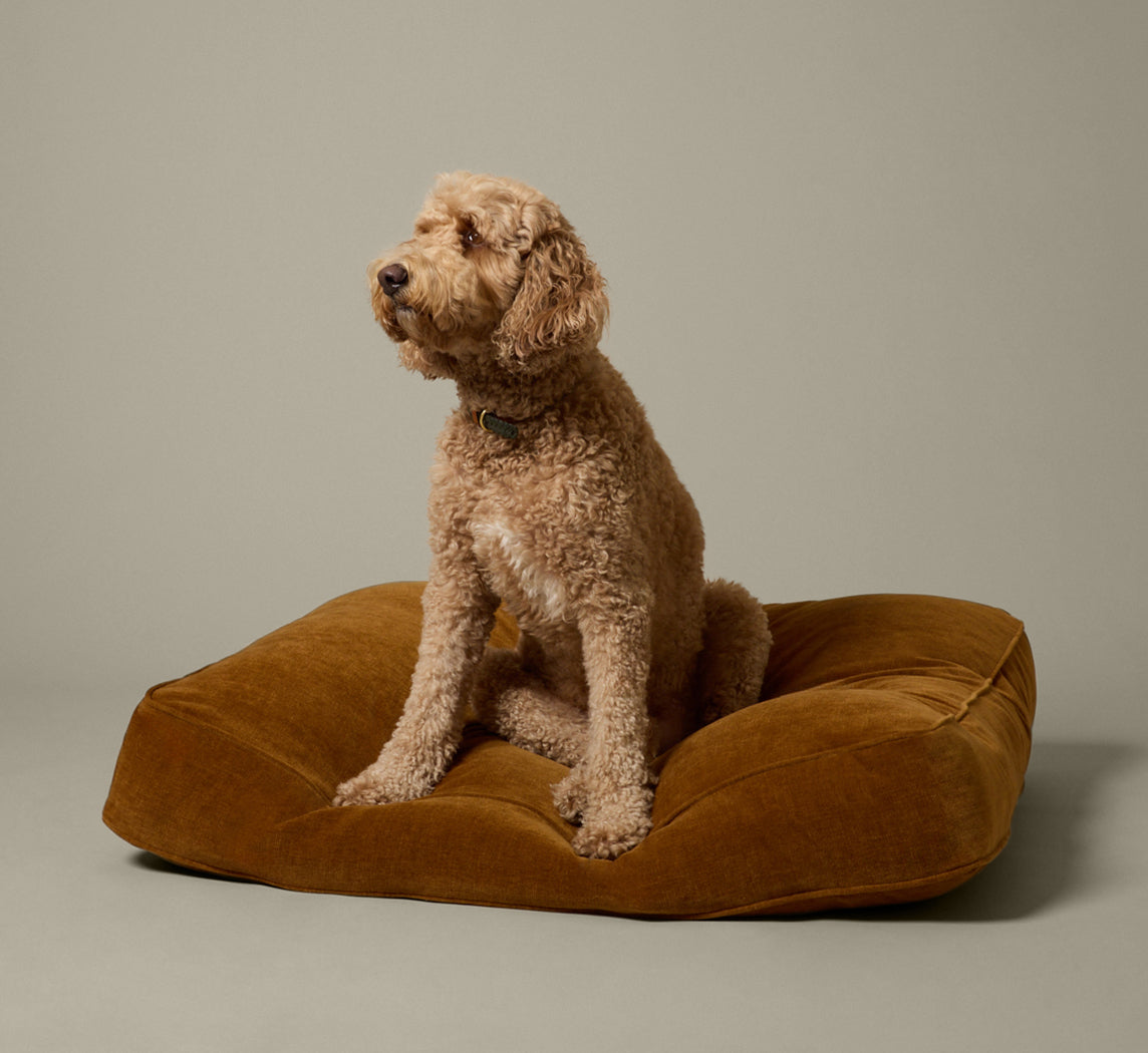 PIERCE & WARD DOG BED IN HONEY CHENILLE (MULTIPLE SIZES)