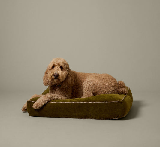 PIERCE & WARD DOG BED IN OLIVE GREEN CHENILLE (MULTIPLE SIZES)