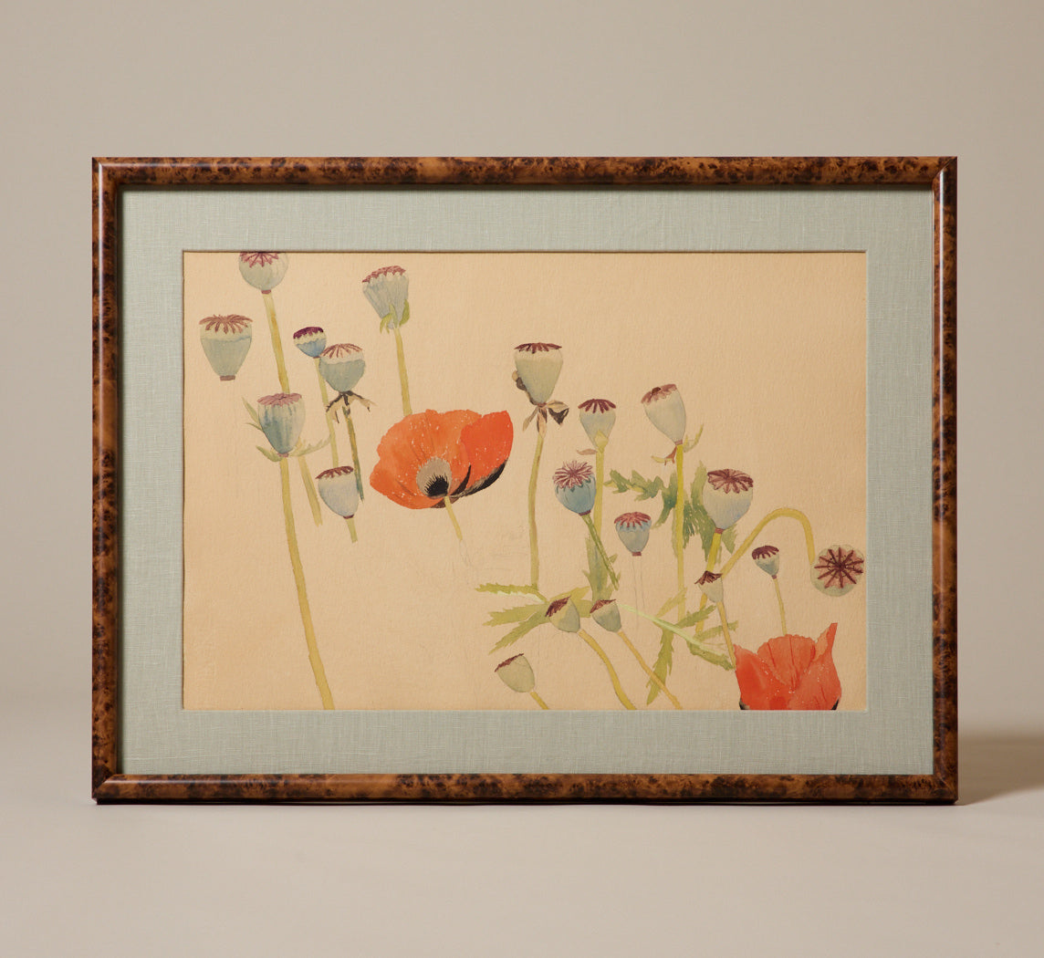 EARLY 19TH CENTURY AMERICAN POPPY WATERCOLOR