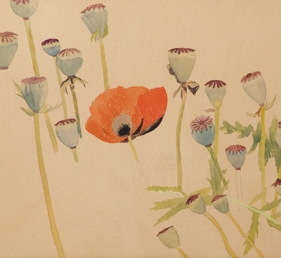 EARLY 19TH CENTURY AMERICAN POPPY WATERCOLOR