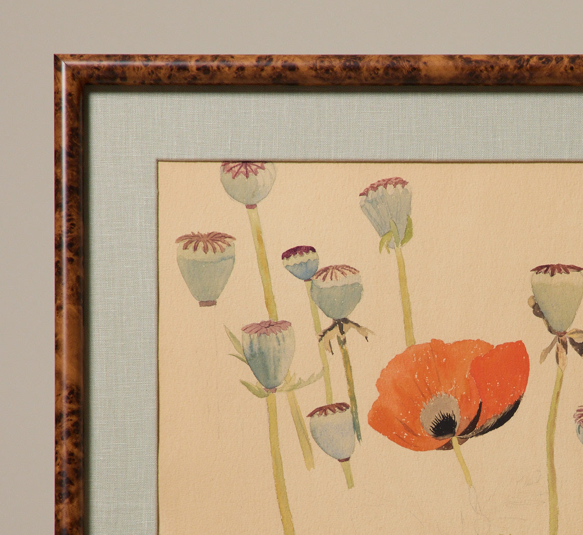 EARLY 19TH CENTURY AMERICAN POPPY WATERCOLOR