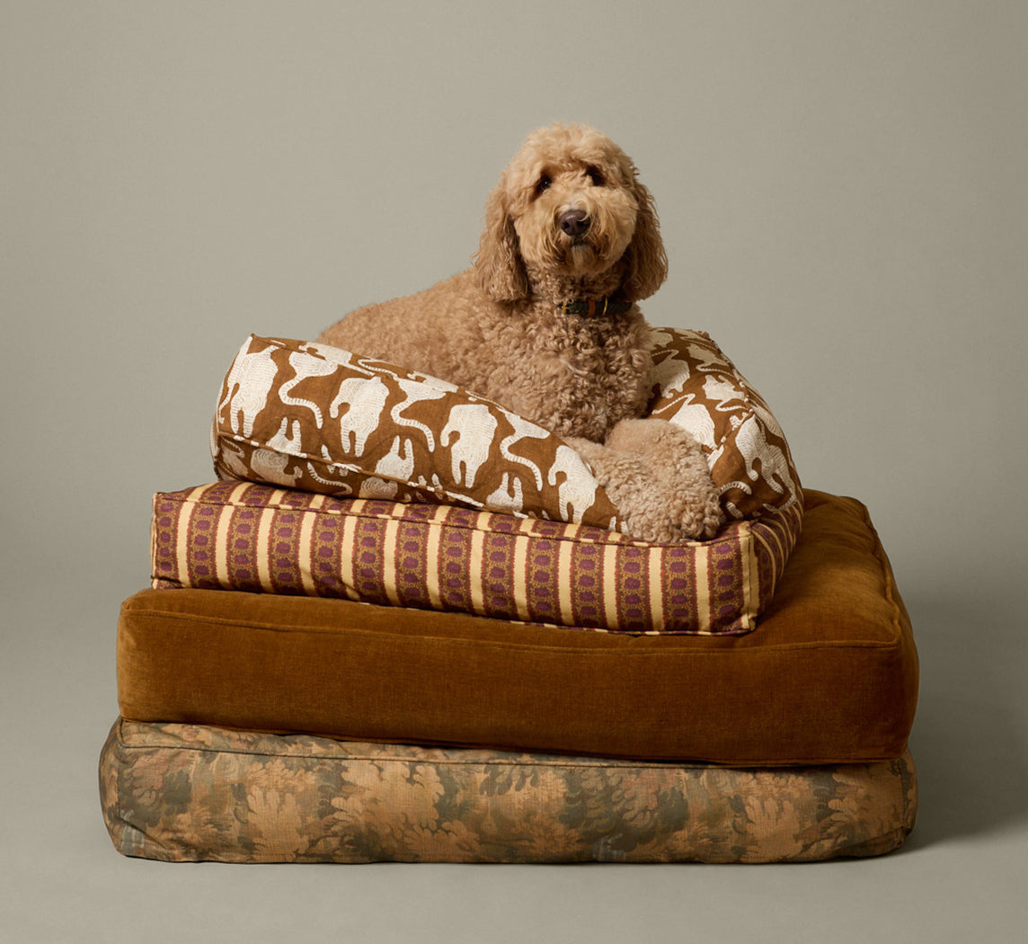 PIERCE & WARD DOG BED IN HONEY CHENILLE (MULTIPLE SIZES)