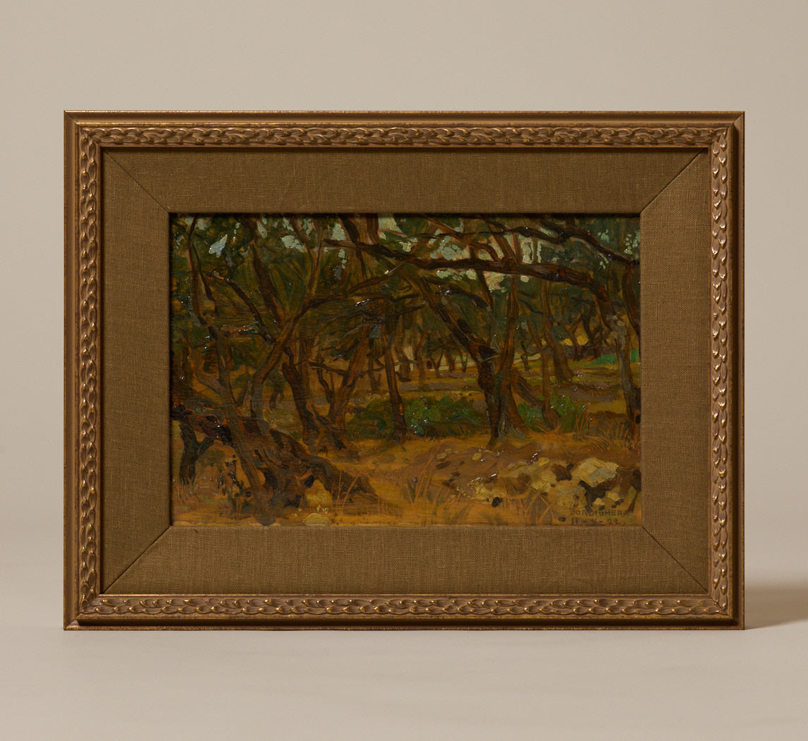 1920S ITALIAN BORDIGHERA OLIVE TREE LANDSCAPE