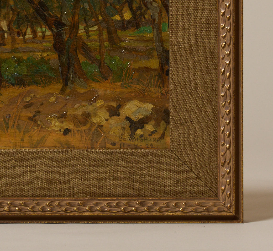1920S ITALIAN BORDIGHERA OLIVE TREE LANDSCAPE