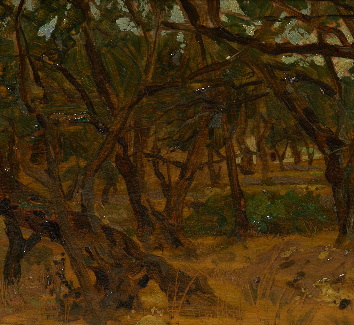 1920S ITALIAN BORDIGHERA OLIVE TREE LANDSCAPE