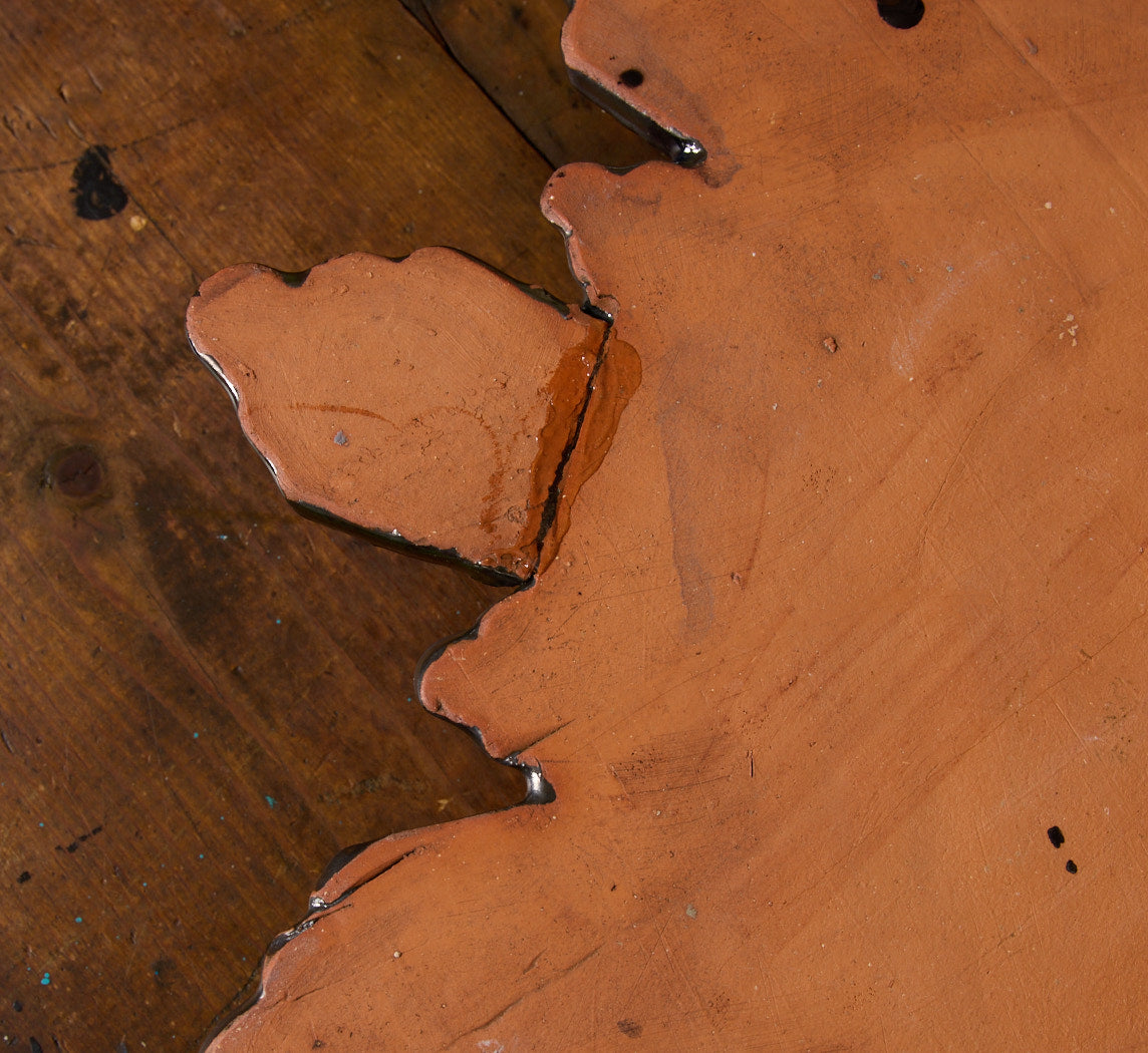 MAGIC ROSE STARBURST WALL MEDALLION BY TINA CHARAD