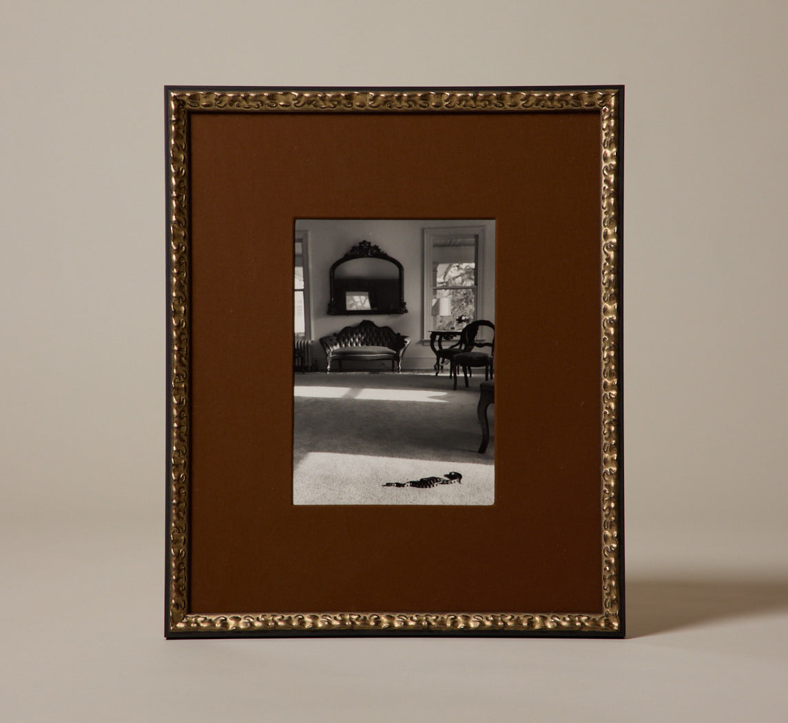 VINTAGE INTERIOR WITH SNAKE GELATIN SILVER PRINT