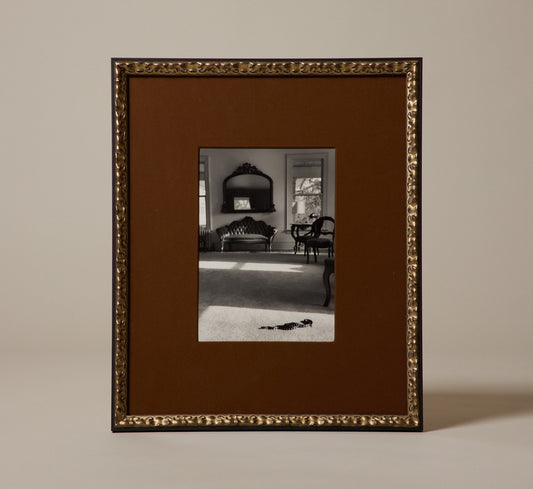 VINTAGE INTERIOR WITH SNAKE GELATIN SILVER PRINT