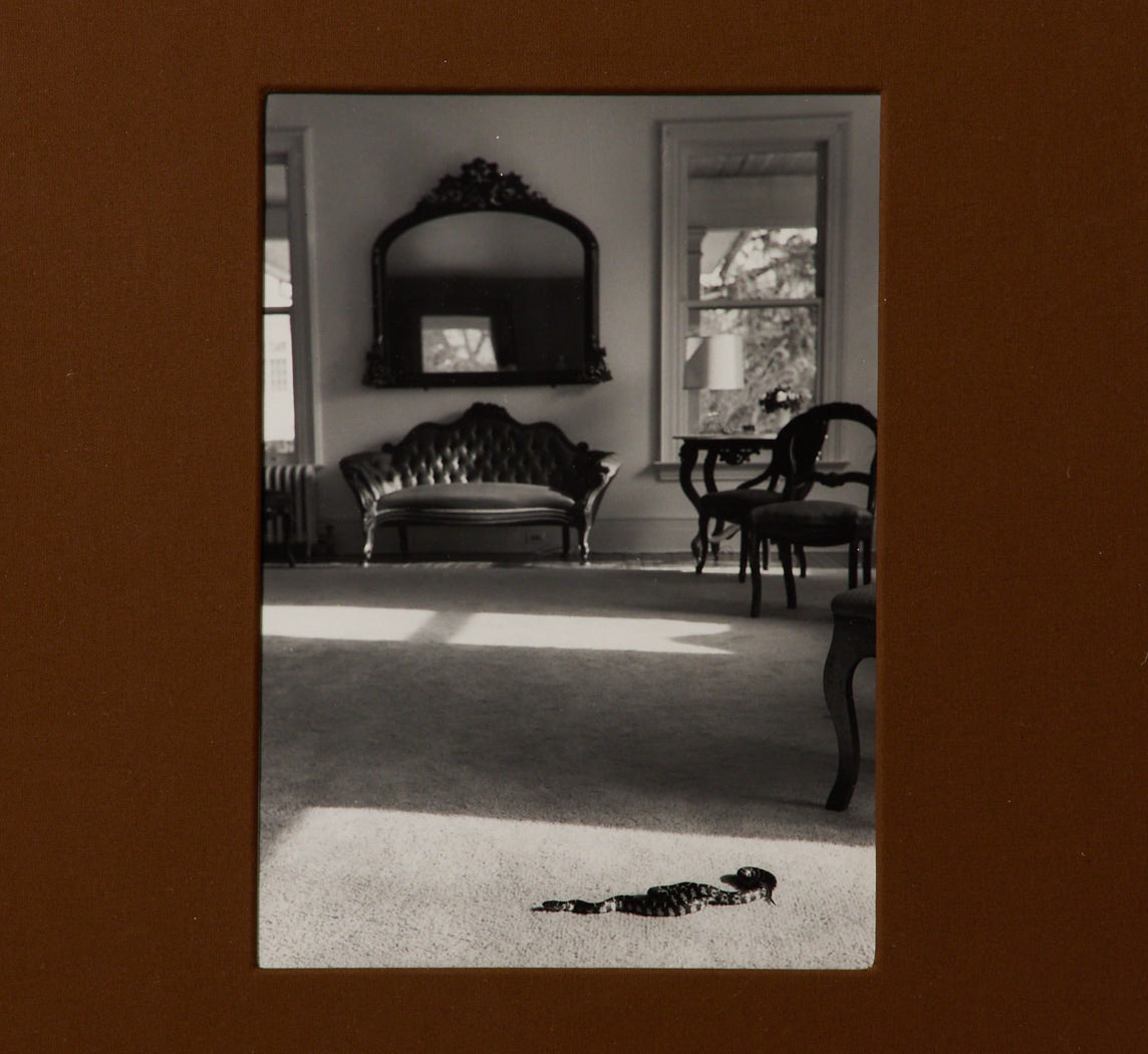 VINTAGE INTERIOR WITH SNAKE GELATIN SILVER PRINT