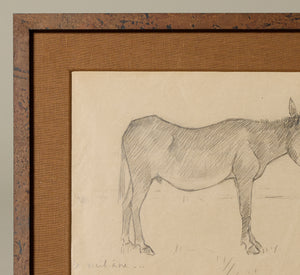 1930S FRENCH PENCIL DRAWING OF THE OLD DONKEY