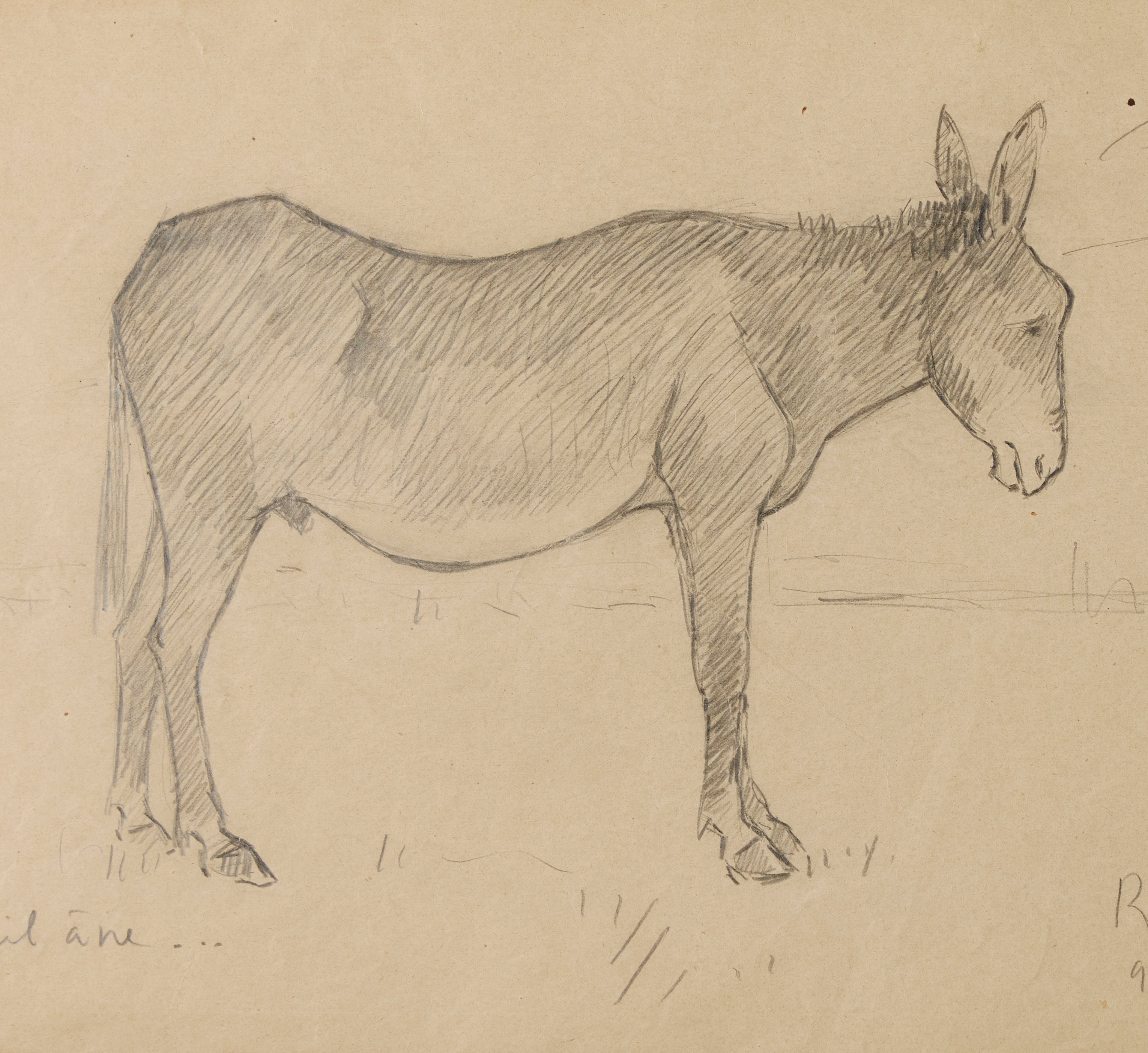 1930S FRENCH PENCIL DRAWING OF THE OLD DONKEY