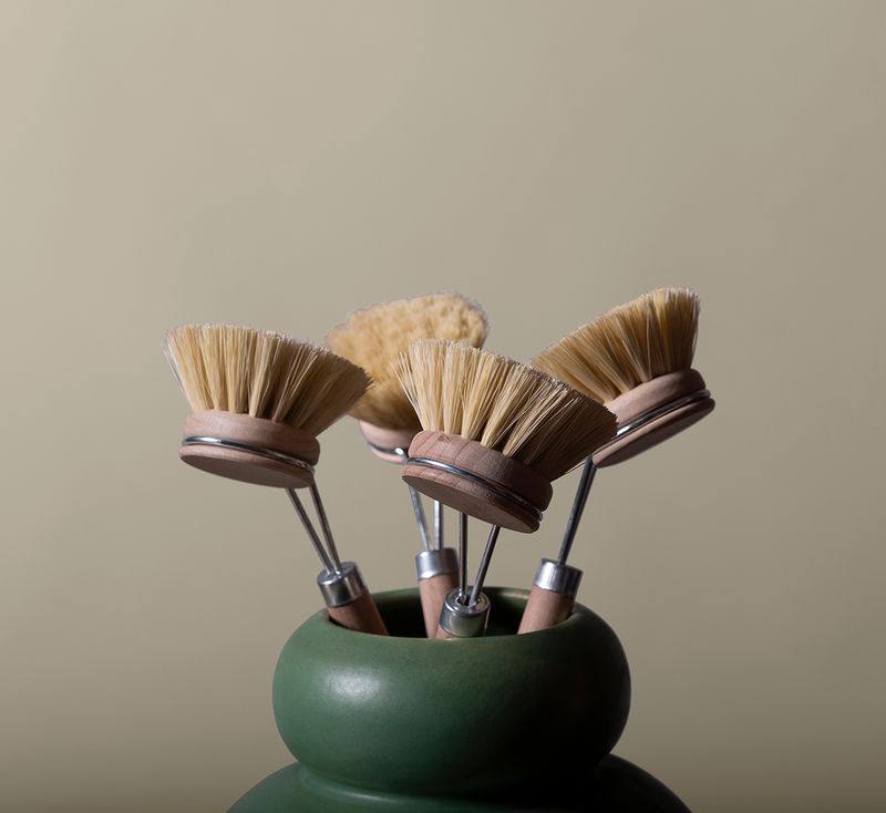 DISH BRUSH WITH BEECHWOOD HANDLE