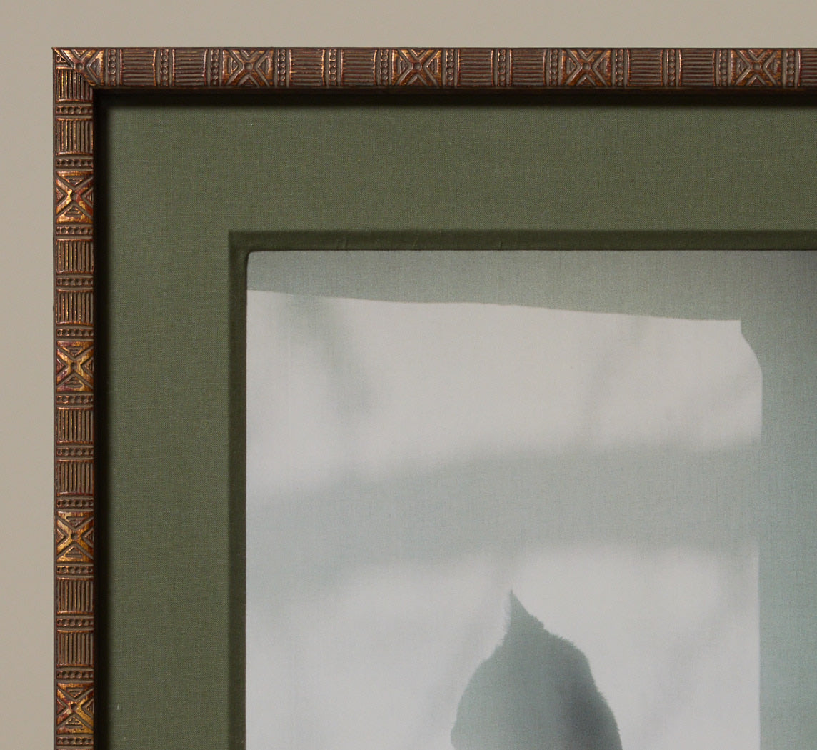 VINTAGE PHOTOGRAVURE OF DAYDREAMING CAT