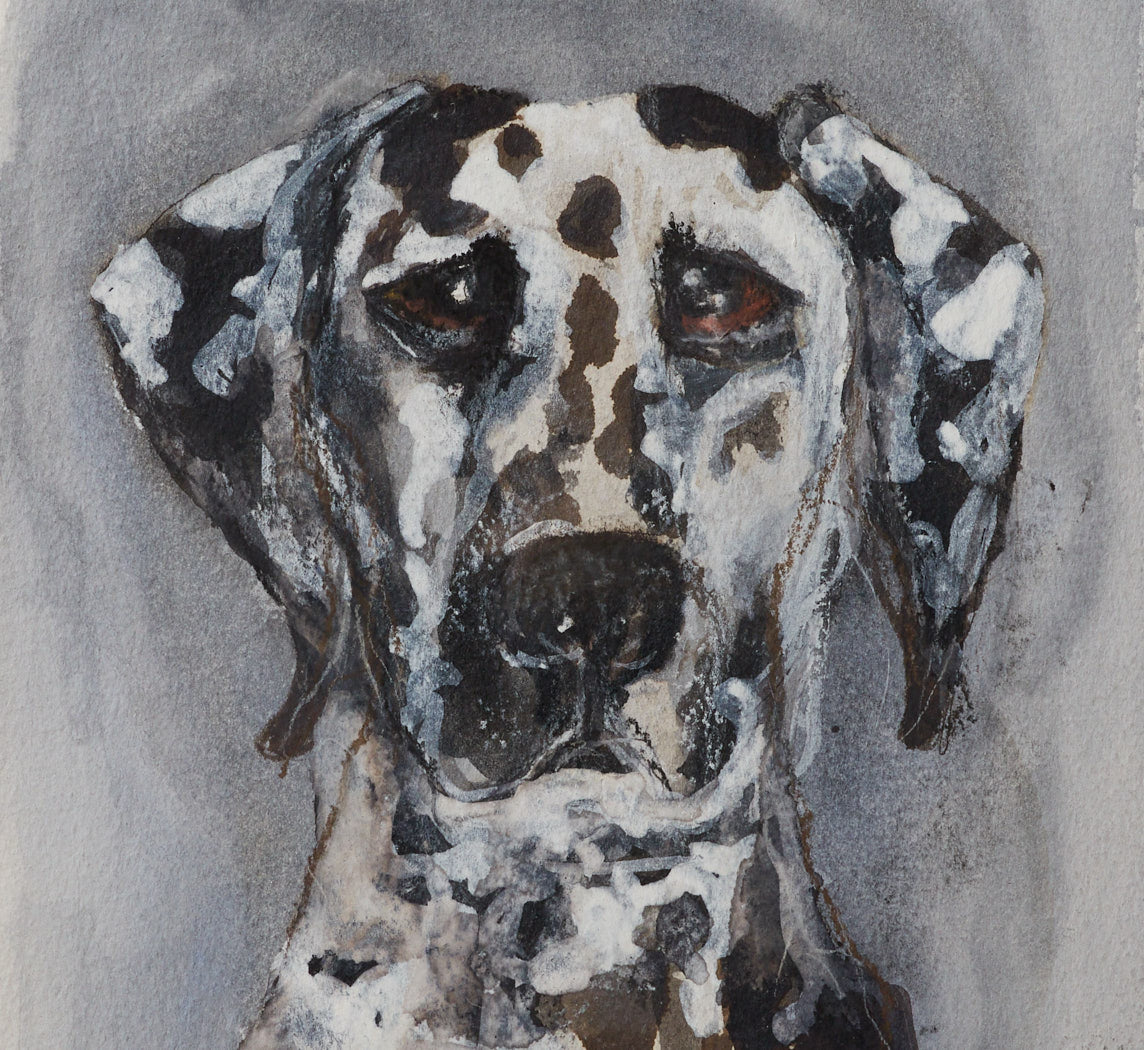 1960S ENGLISH PORTRAIT OF A DALMATION