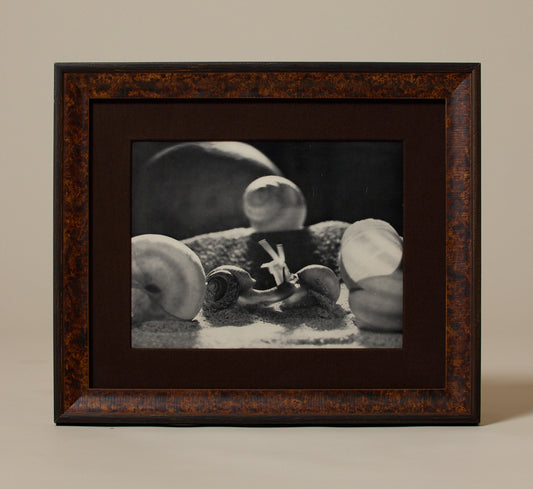 1946 PHOTOLITHOGRAPH "ESCARGOTS" BY WERNER BISCHOF (1916-1954)
