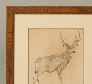 20TH CENTURY DEER PRINT