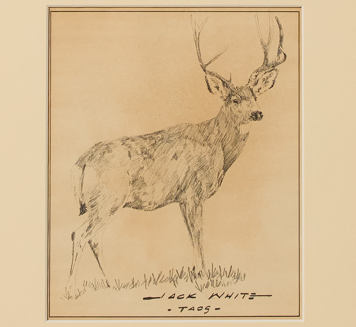 20TH CENTURY DEER PRINT