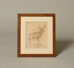 20TH CENTURY DEER PRINT