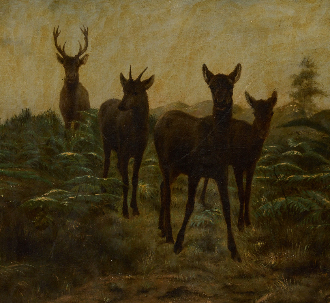 EARLY 20TH CENTURY SPANISH HERD OF DEER