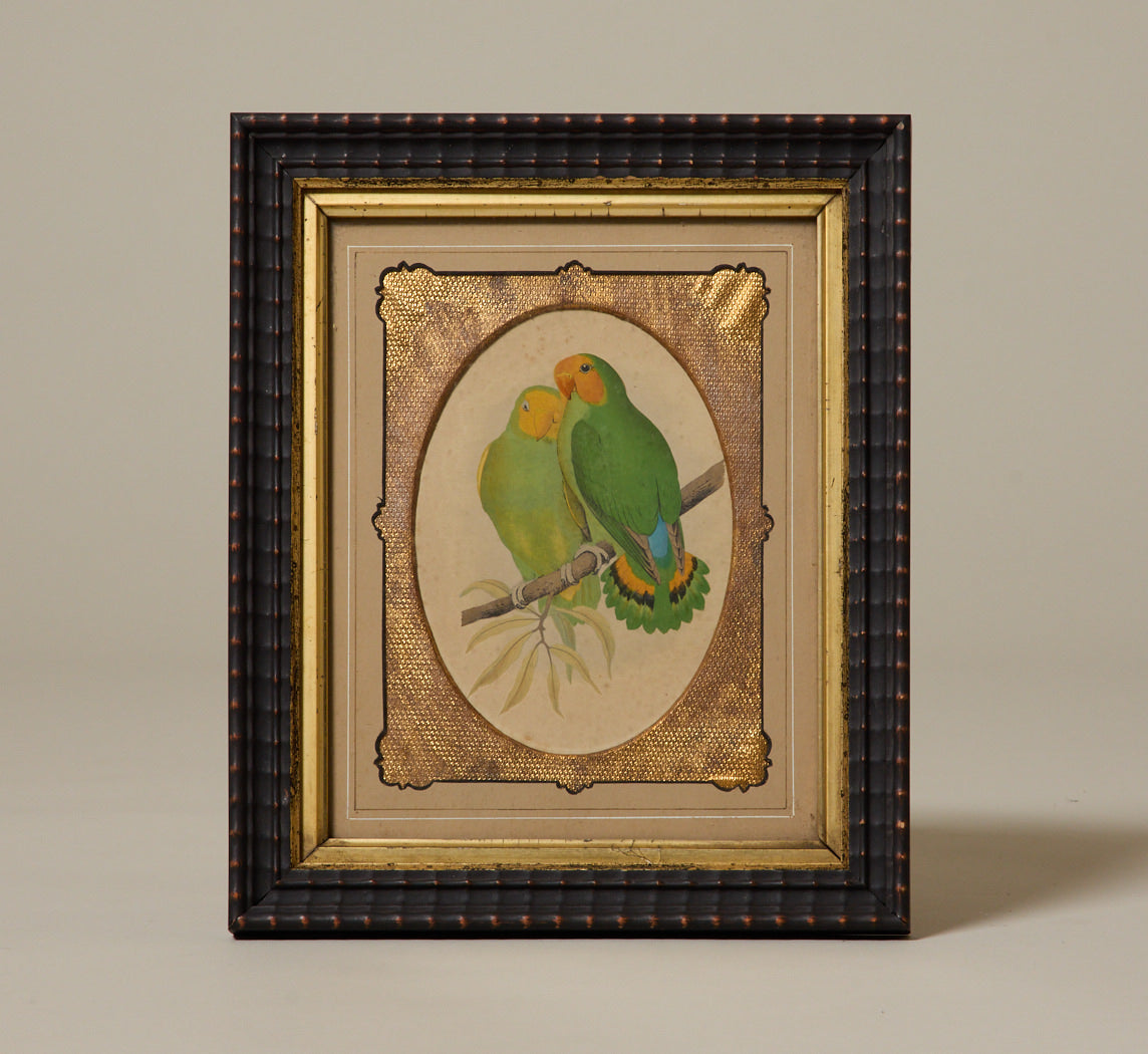 1880s WOODBLOCK ENGRAVING OF LOVEBIRDS