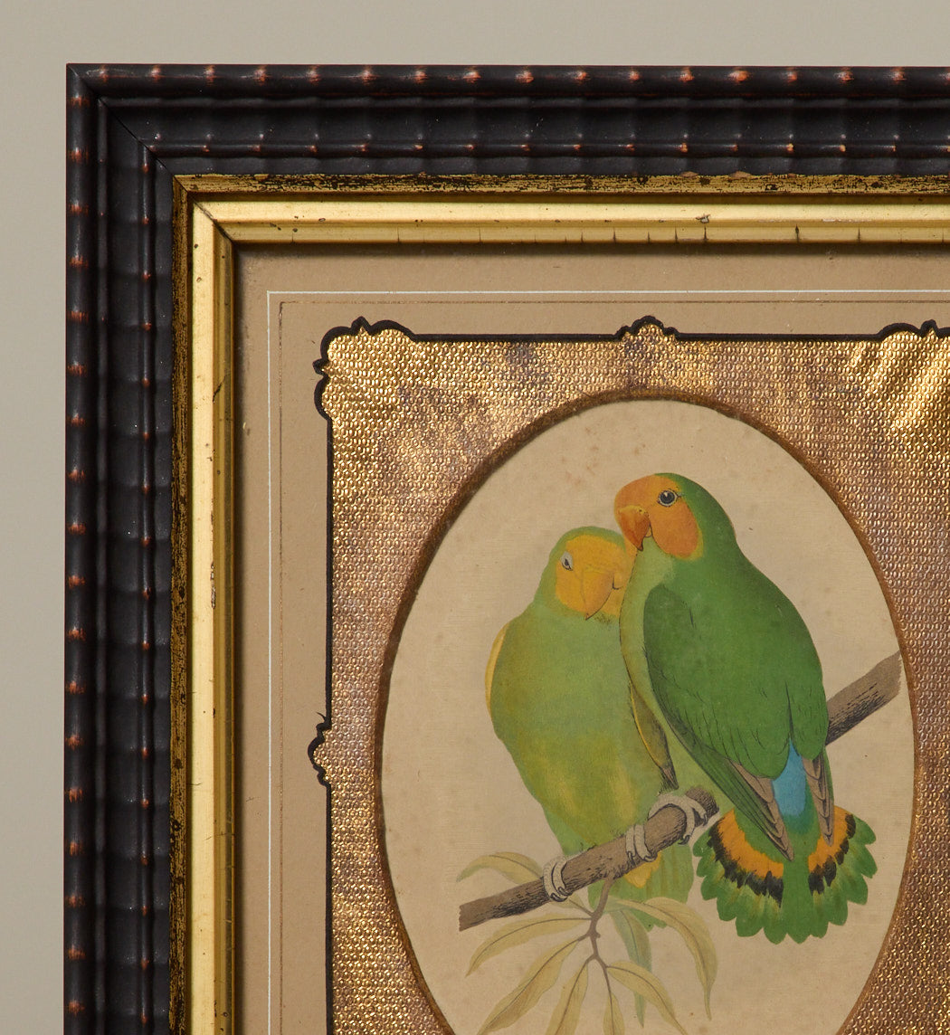 1880s WOODBLOCK ENGRAVING OF LOVEBIRDS