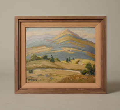 1950S FRENCH LANDSCAPE