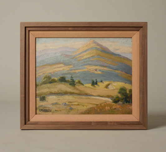 1950S FRENCH LANDSCAPE