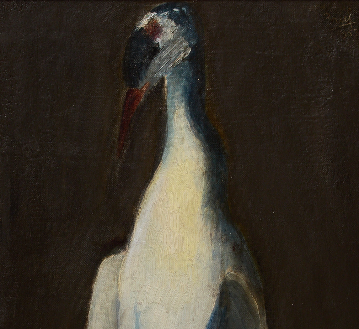 1950S STORK STILL LIFE STUDY
