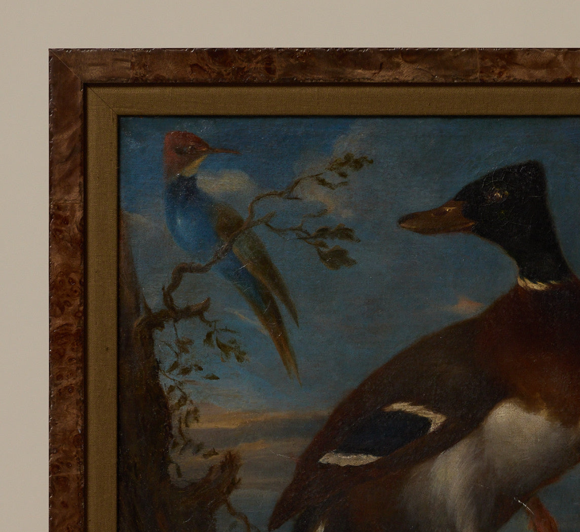 18TH CENTURY DUCK WITH EXOTIC BIRD ATTR. TO PIETER III CASTEELS (1684-1749)
